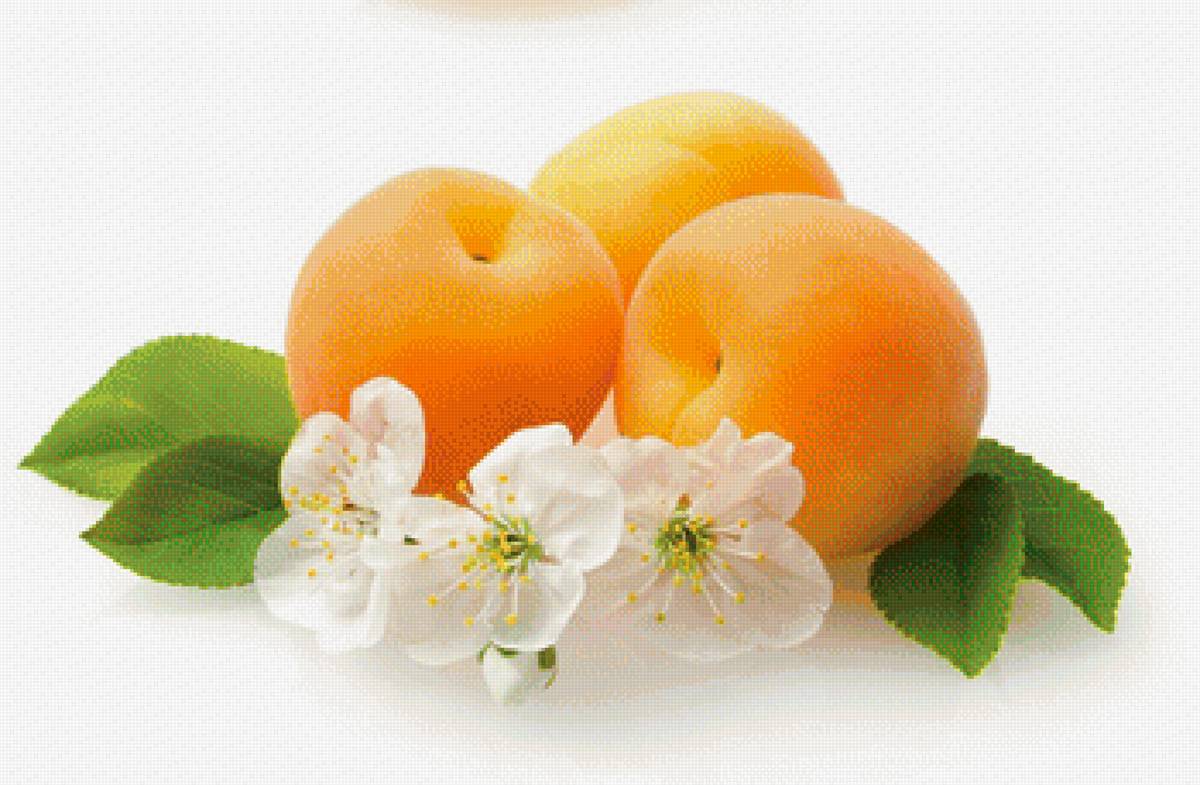 Абрикосы - фрукты, абрикосы - предпросмотр