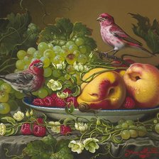 Оригинал схемы вышивки «ovocie,vtáci» (№1903460)