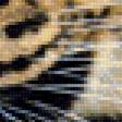 Предпросмотр схемы вышивки «Леопард» (№1903533)