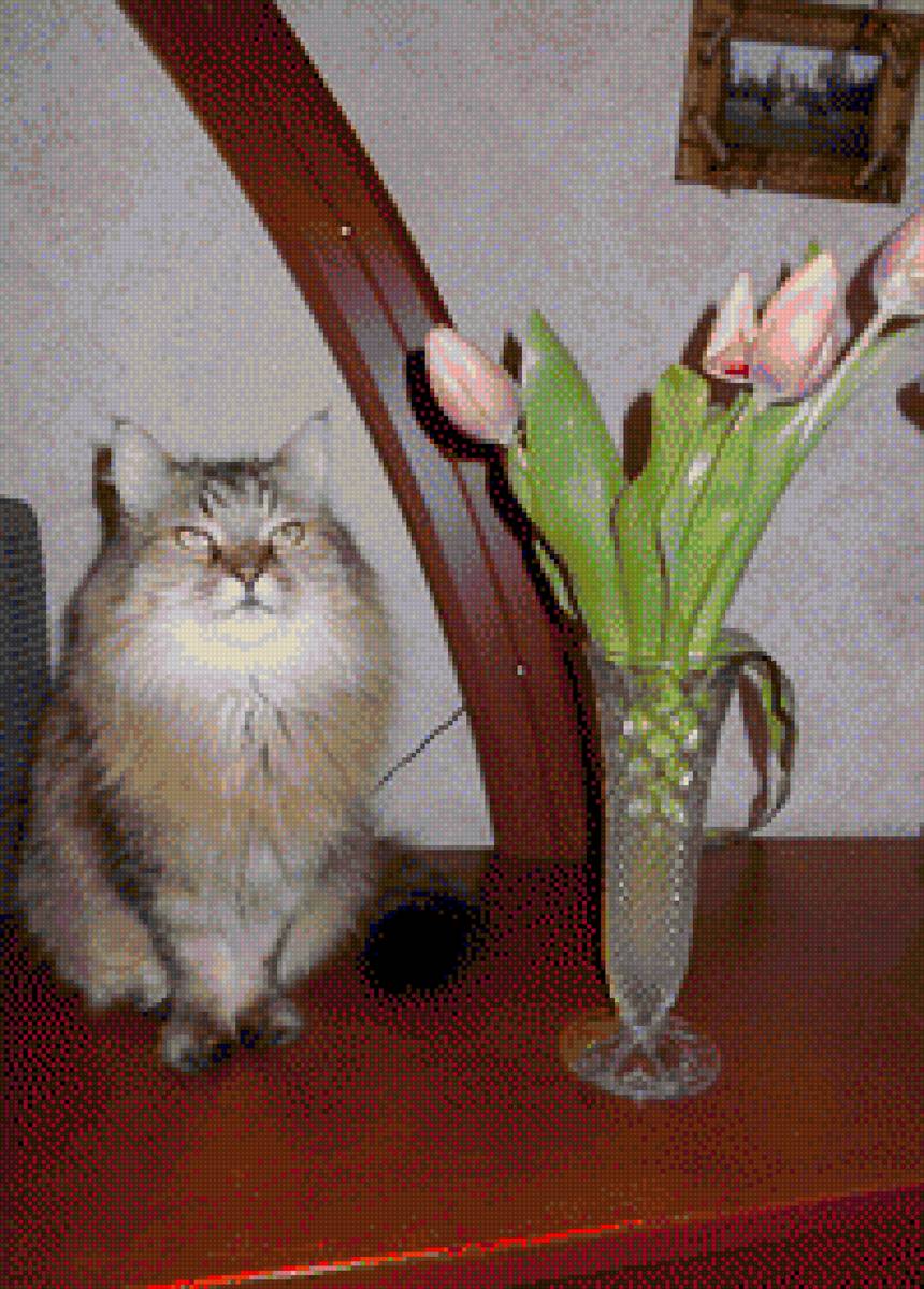 Поздравления от Кузи - кот, 8 марта - предпросмотр