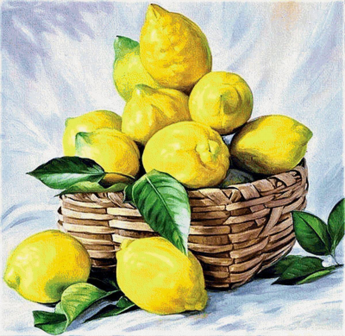 №1903937 - лимоны - предпросмотр