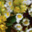 Предпросмотр схемы вышивки «Полевые цветы» (№1904576)