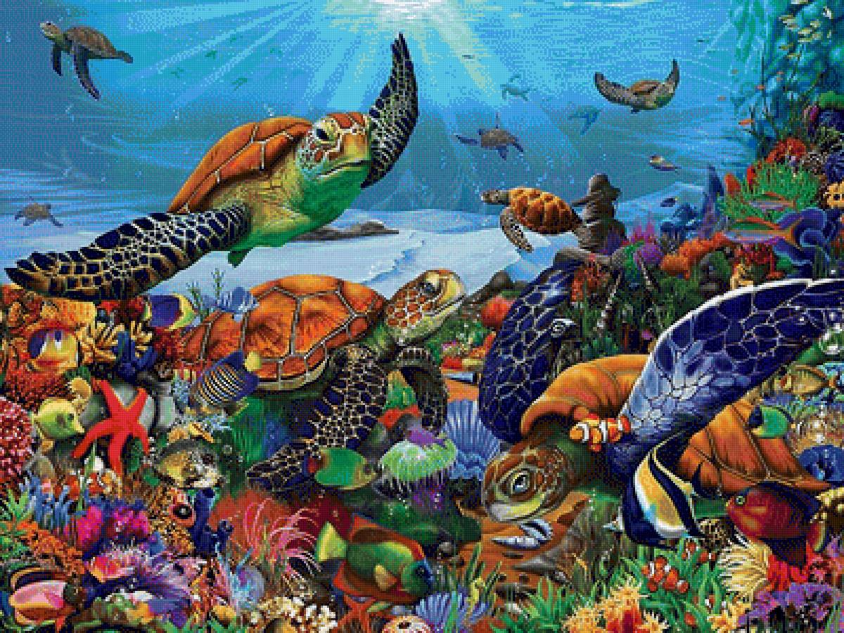 Подводный мир - черепахи, море, подводный мир, кораллы, рыбы - предпросмотр