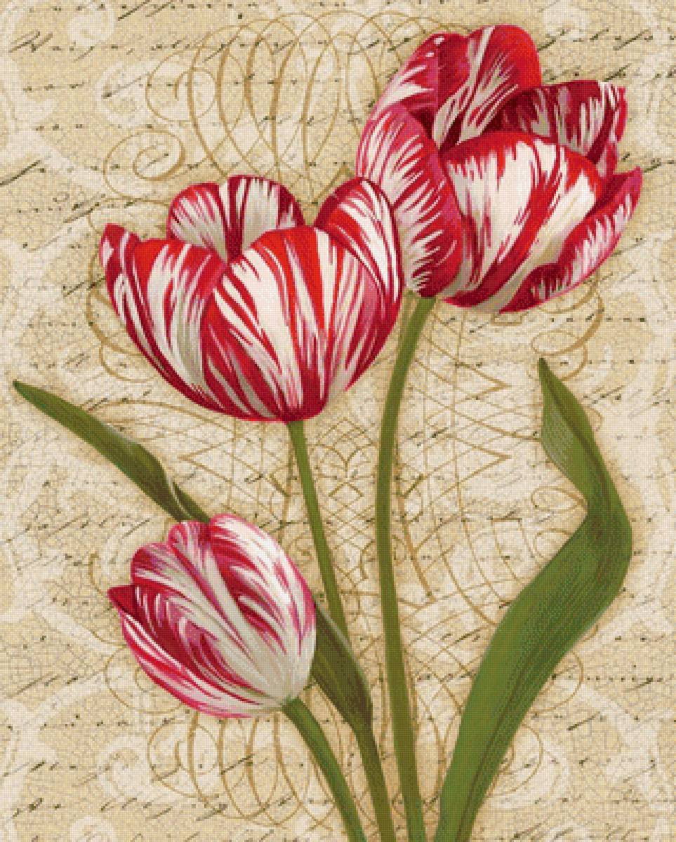 Тюльпаны - тюльпаны, рисунок, цветы - предпросмотр