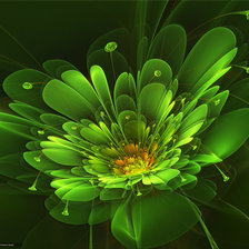 Схема вышивки «Зелёный цветок»