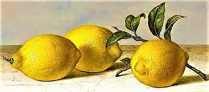 №1905139 - лимоны - оригинал