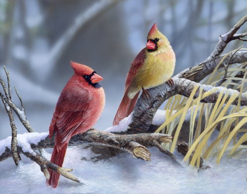 Птички - снег, птицы, птички, зима, рисунок - оригинал