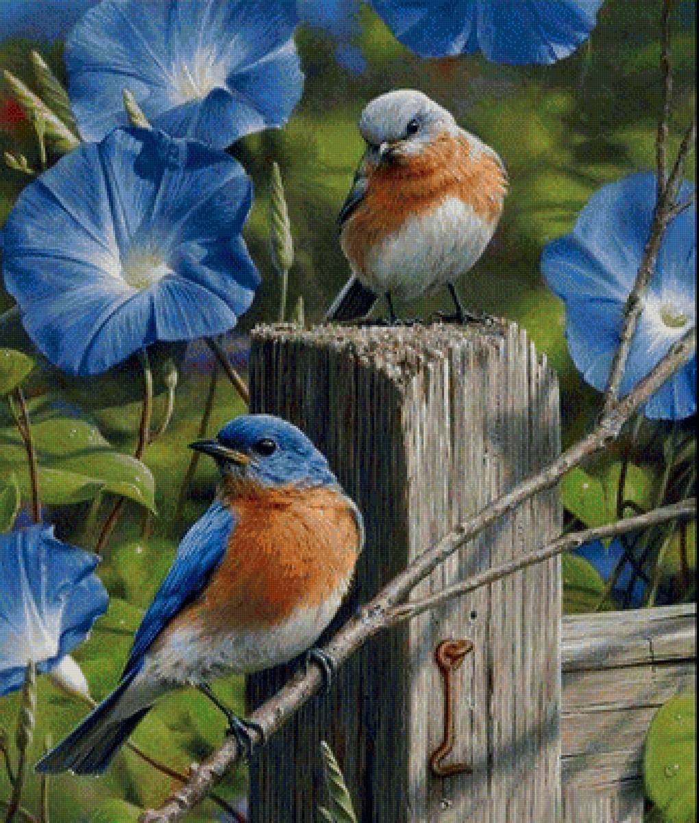 Птицы - птицы синие цветы - предпросмотр