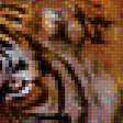 Предпросмотр схемы вышивки «Семейство тигров» (№1907765)