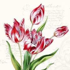 Оригинал схемы вышивки «Тюльпаны» (№1907767)