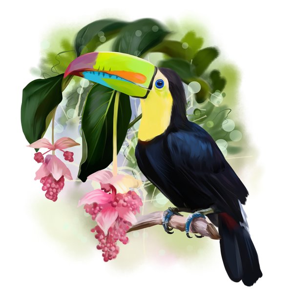 Птица на ветке - рисунок, цветы, птица - оригинал