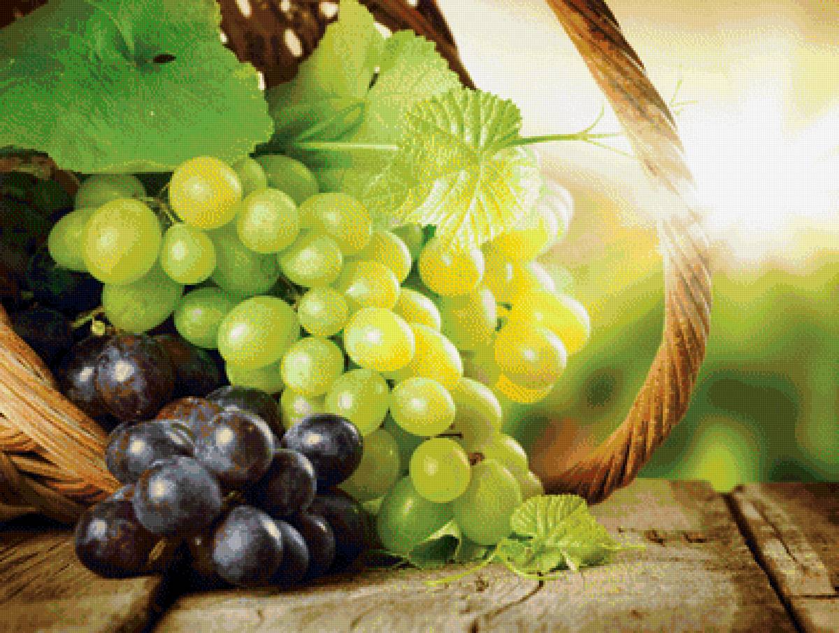 Солнечный виноград - фрукты, виноград - предпросмотр