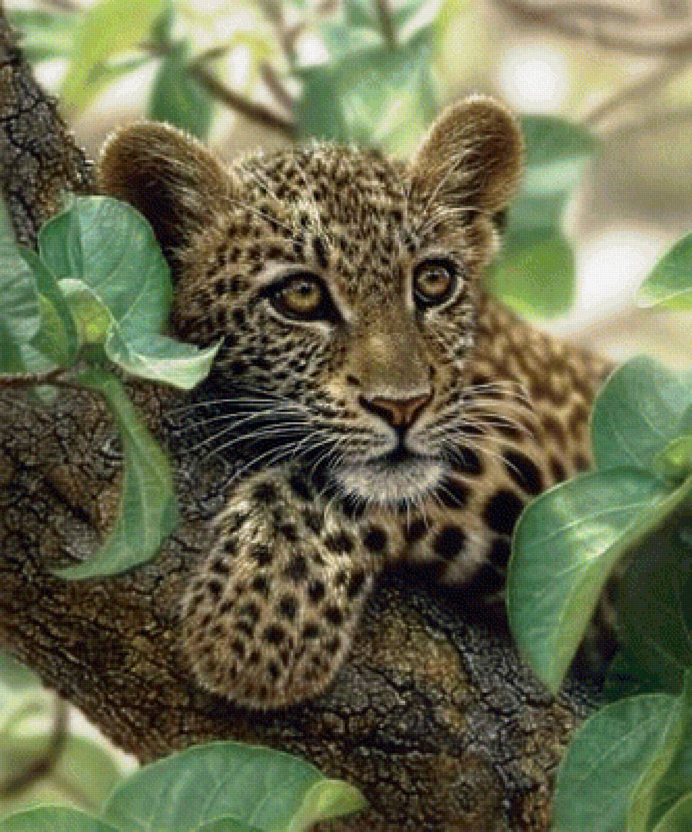 Мир животных - животное, дерево, лето, леопард - предпросмотр