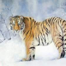 Оригинал схемы вышивки «Тигр» (№1908916)