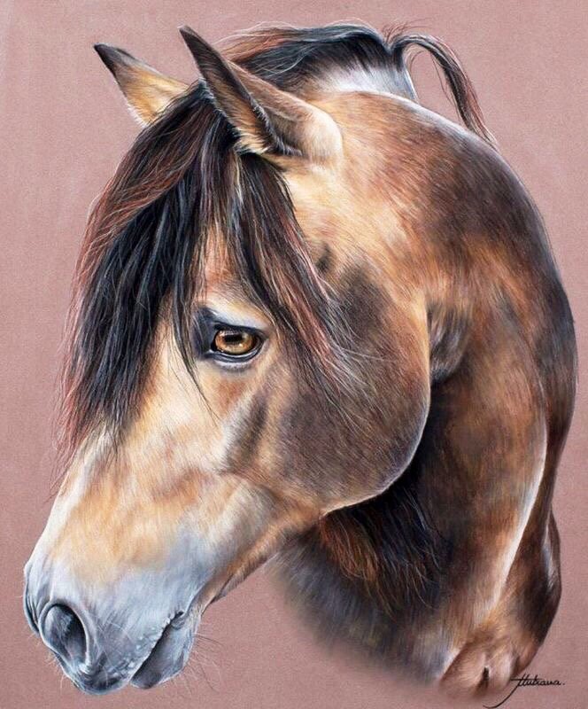 Портрет лошади - рисунок, животное, лошадь, живопись - оригинал