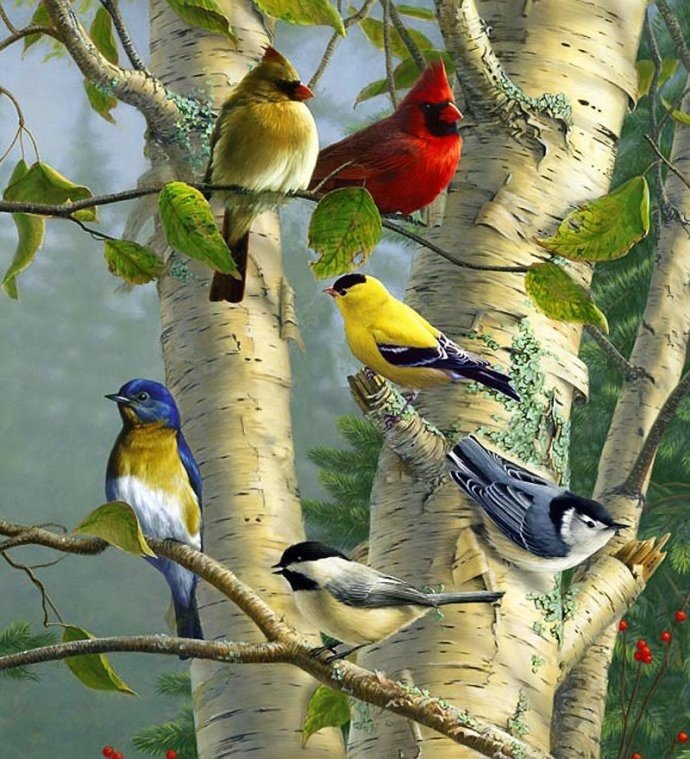 Птички - природа, птицы, птички, рисунок - оригинал