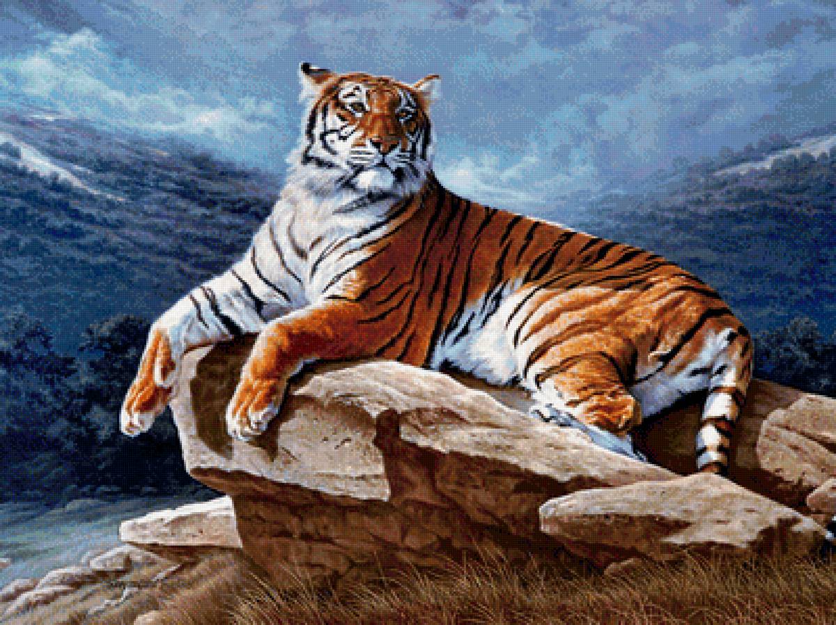 Мир животных - животное, горы, тигр, природа - предпросмотр