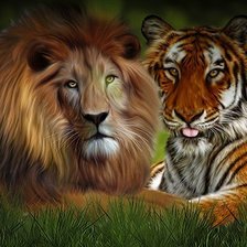 Оригинал схемы вышивки «Лев и тигр» (№1910440)