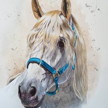Оригинал схемы вышивки «портрет серой лошади» (№1910749)