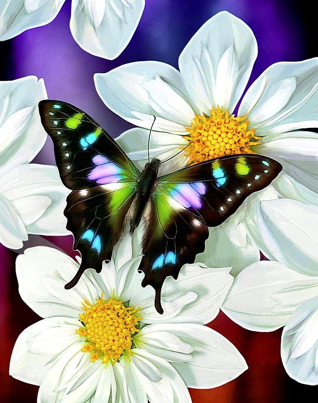 Арт - бабочка, арт, цветы, фэнтези - оригинал