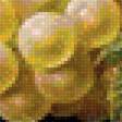 Предпросмотр схемы вышивки «ovocie» (№1912449)