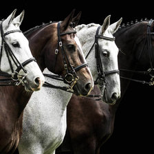 Схема вышивки «четыре лошади»