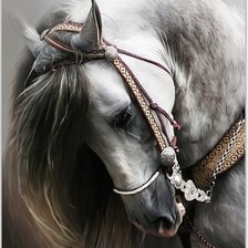 Оригинал схемы вышивки «Лошадь» (№1914230)