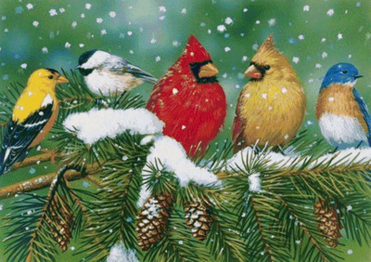 Птички - зима, шишки, рисунок, снег, птицы, птички - предпросмотр
