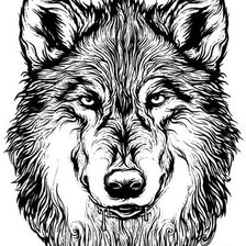 Оригинал схемы вышивки «волк» (№1914473)