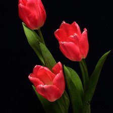 Оригинал схемы вышивки «тюльпаны» (№1914803)