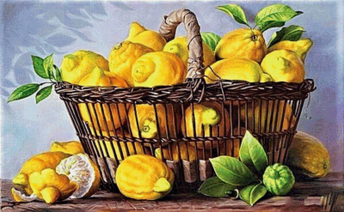 №1915324 - лимоны - предпросмотр