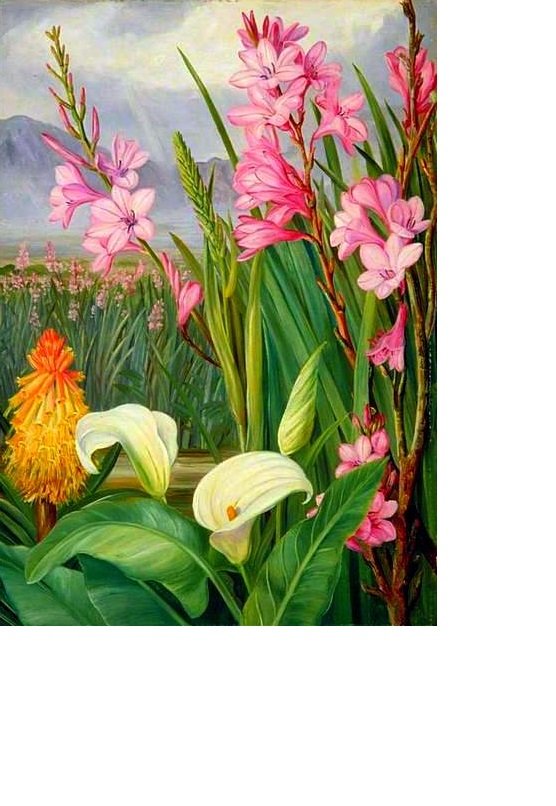Цветочная композиция - горы, цветы, каллы - оригинал