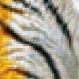 Предпросмотр схемы вышивки «Тигр» (№1916335)