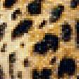 Предпросмотр схемы вышивки «Леопард» (№1919615)