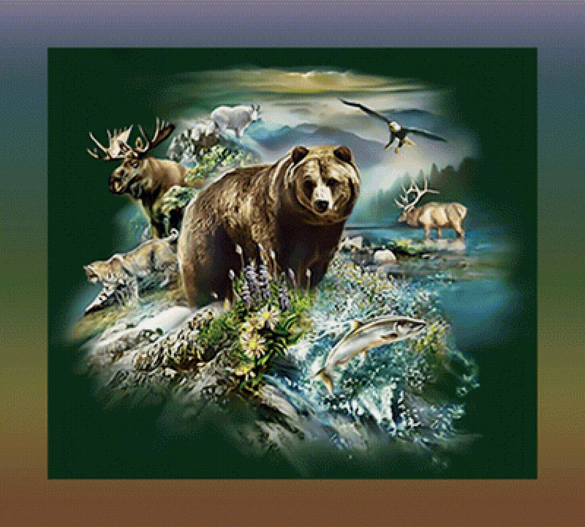 Дикий мир Камчатки - бурый медведь лось рыба природа дикие животные - предпросмотр