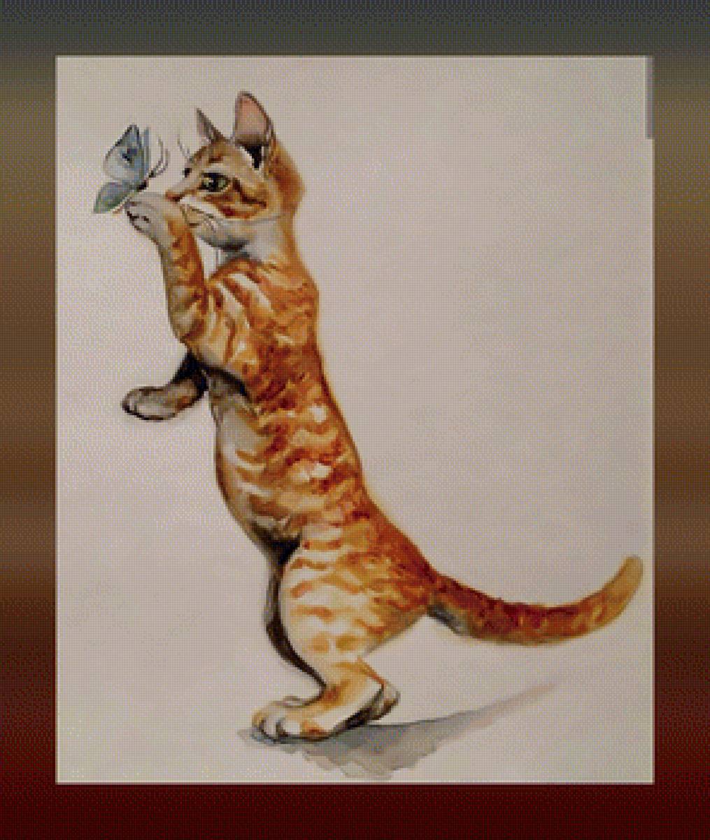 Кот и бабочка - рыжий кот бабачкп - предпросмотр