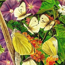 Оригинал схемы вышивки «цветы и бабочки» (№1923640)