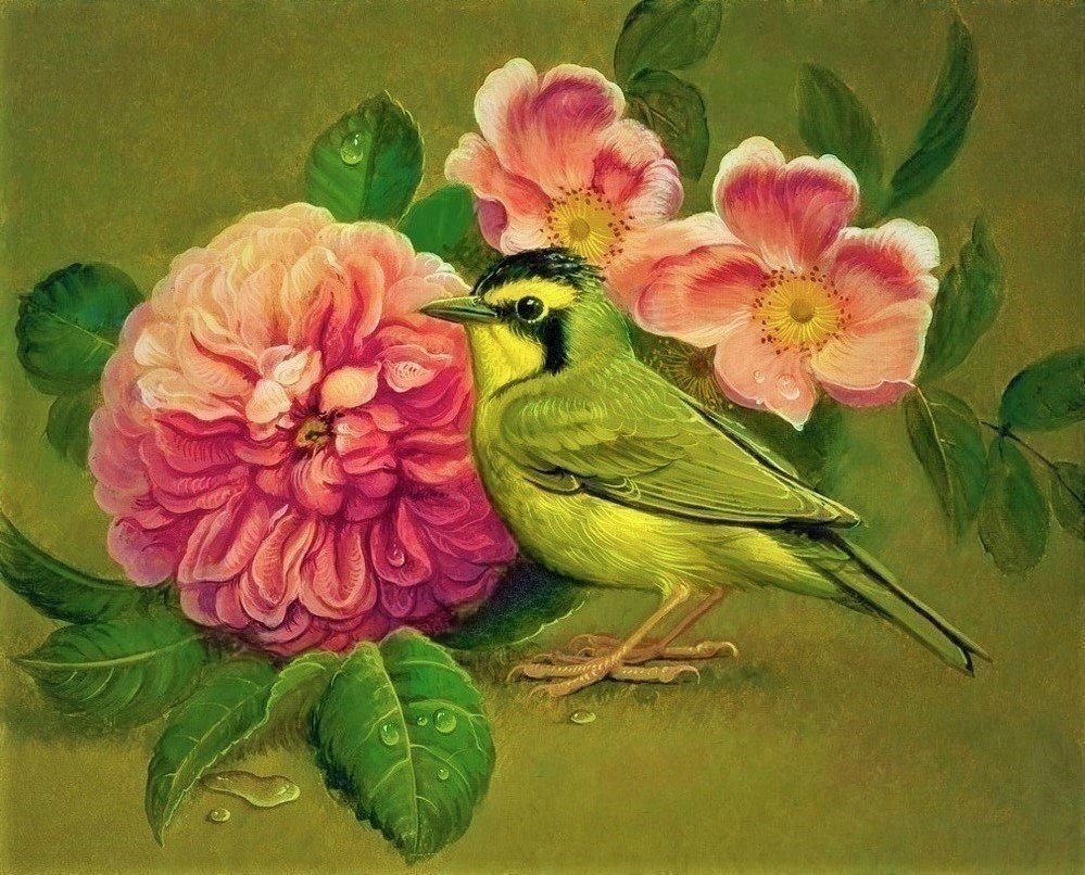 №1924469 - птица, цветы, розы - оригинал