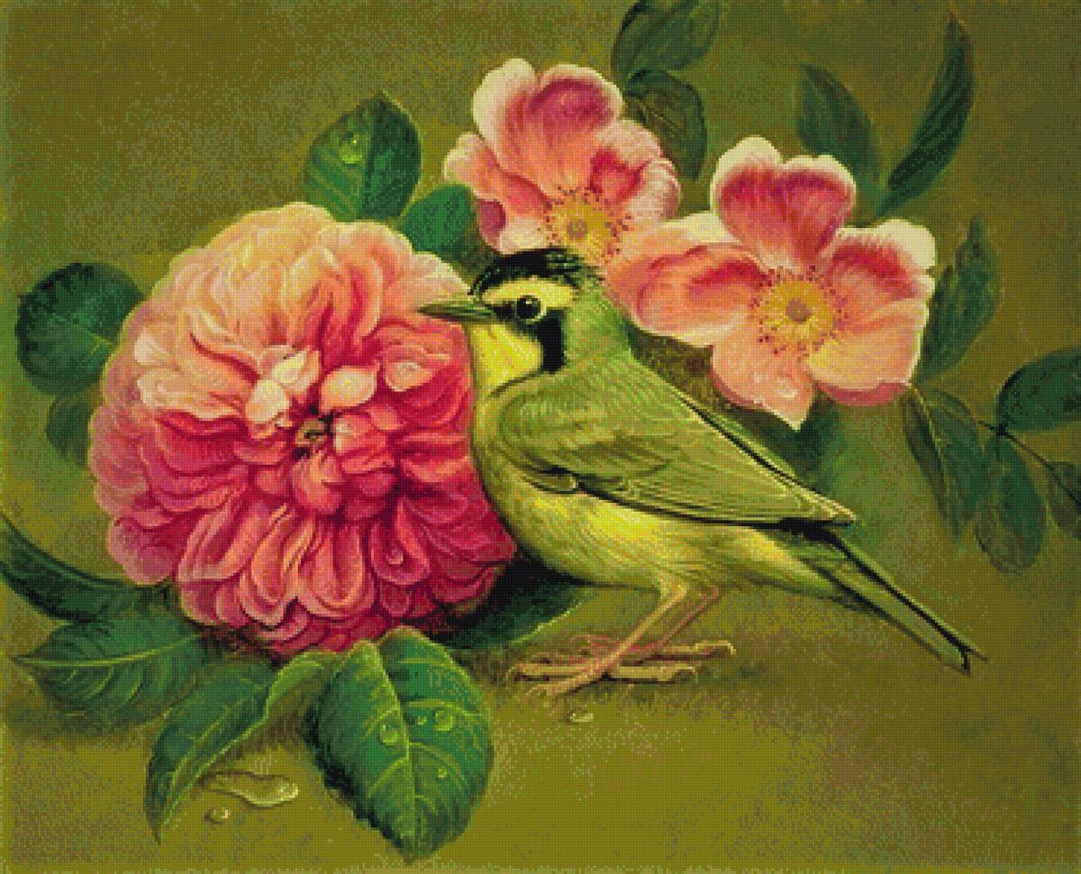 №1924469 - птица, цветы, розы - предпросмотр
