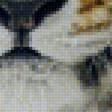 Предпросмотр схемы вышивки «Тигр» (№1924854)