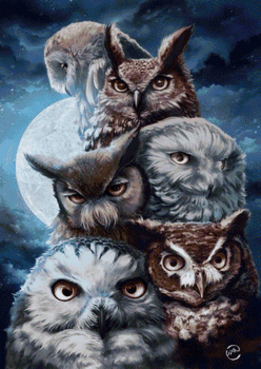 6 сов - птицы, мудрость, совы, природа, ночь, луна - предпросмотр