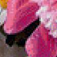 Предпросмотр схемы вышивки «Цветы» (№1926597)