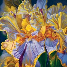 Схема вышивки «Mauve and Yellow Irises»