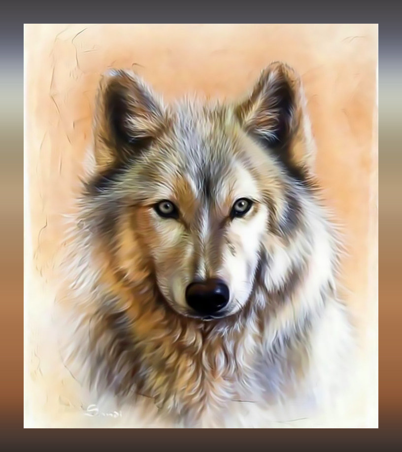 Волк - взгляд хищник волк - оригинал