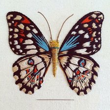 Оригинал схемы вышивки «бабочка» (№1927663)