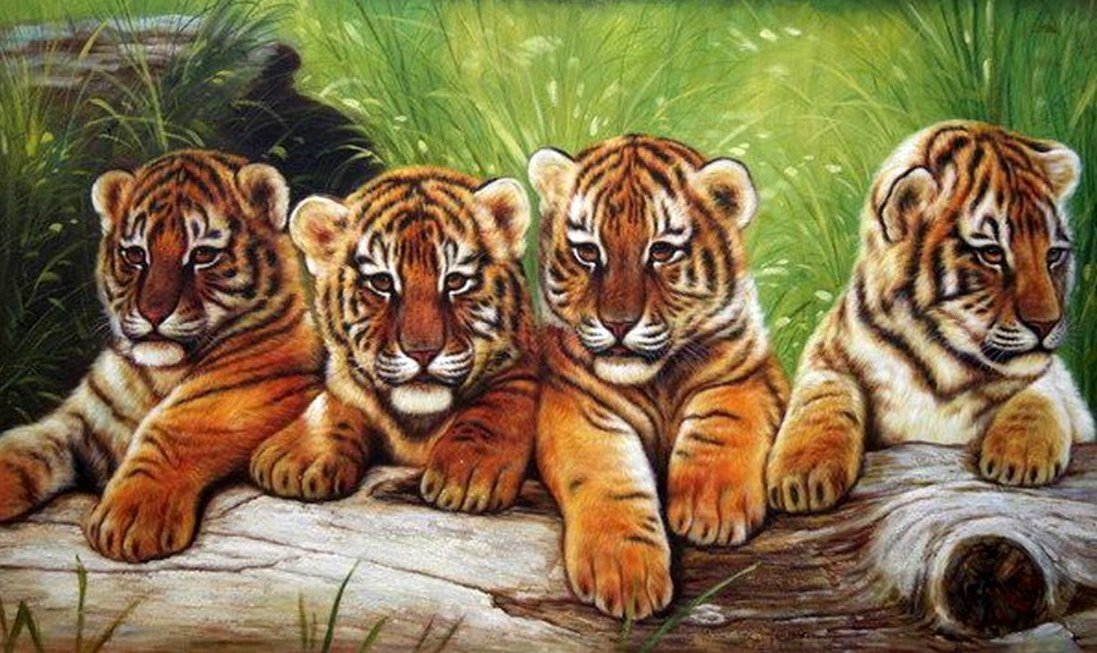Тигрята - малыши, тигренок, животные, хищник - оригинал