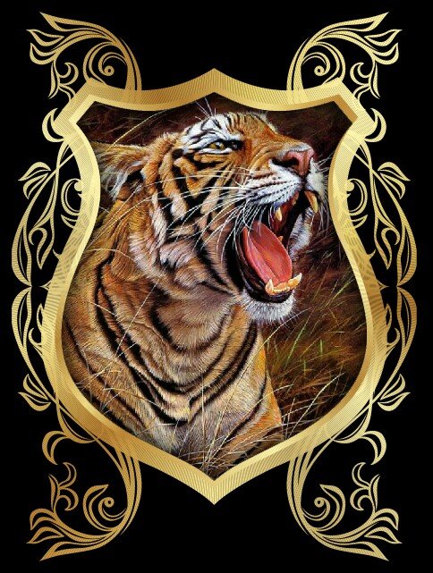 Тигр - хищник тигр - оригинал