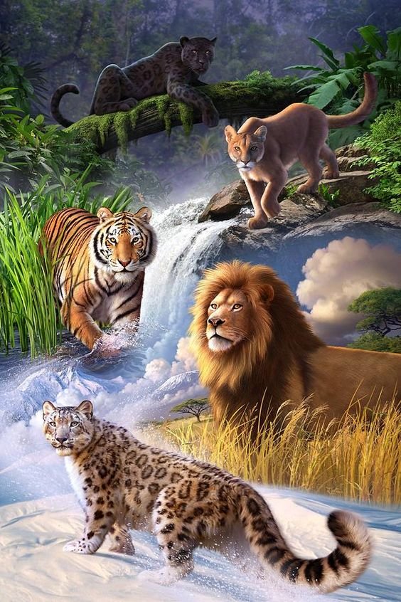 Дикие кошки - тигр, снежный барс, пантера, пума, лев - оригинал