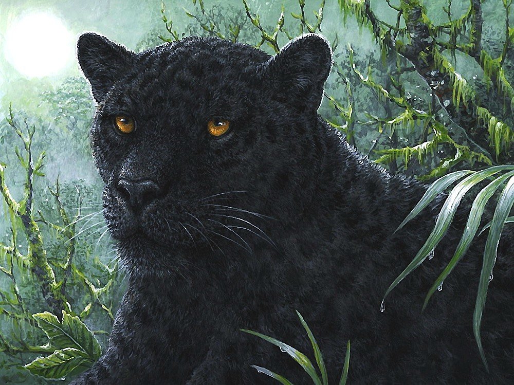 ягуар - мир животных - оригинал