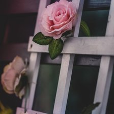Схема вышивки «Розы на лестнице»